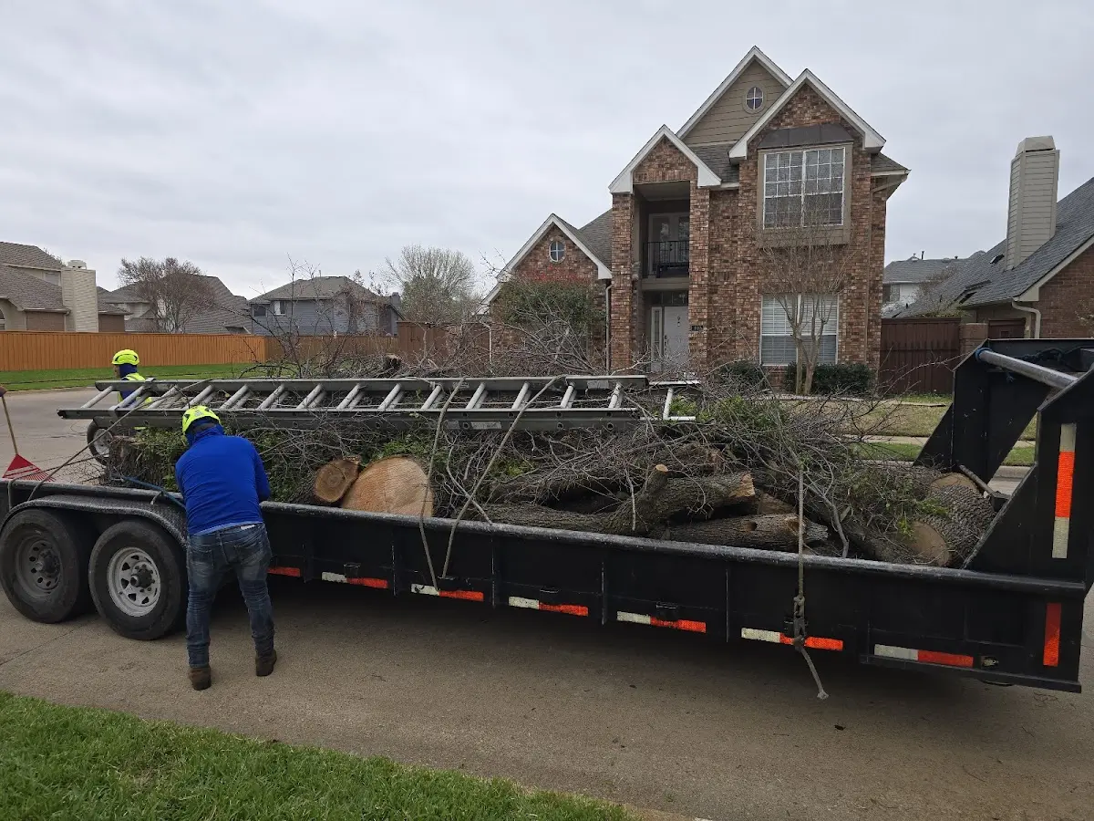 Expert Tree Removal with proper safety equipment in Simpson